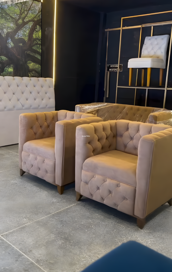 2 Poltronas – Modelo Paris