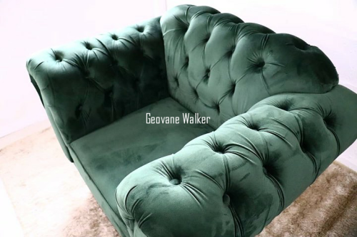 geovanewalker-1431 (1)